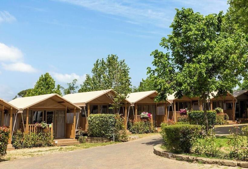 Standard Tent, Hu Roma Camping In Town