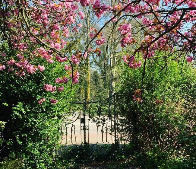 标准间带露台, Elswoutshoek Suites