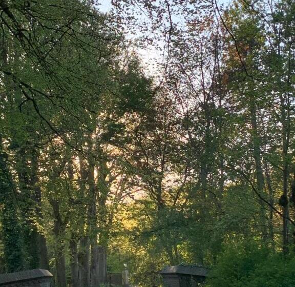 标准间带露台, Elswoutshoek Suites