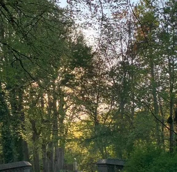 テラス付きスタンダードルーム, Elswoutshoek Suites