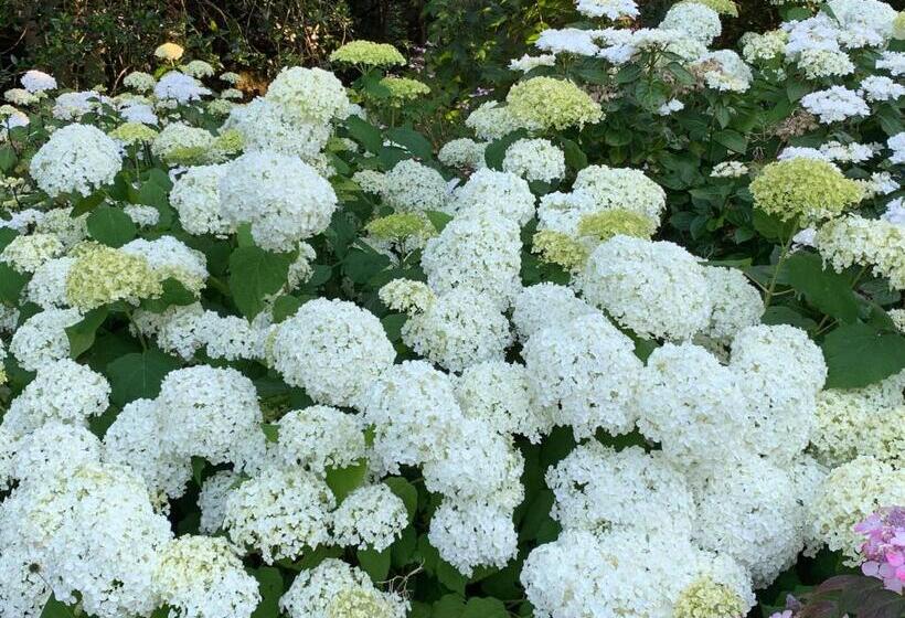 标准间带露台, Elswoutshoek Suites