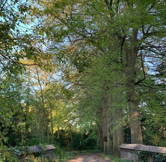 标准间带露台, Elswoutshoek Suites