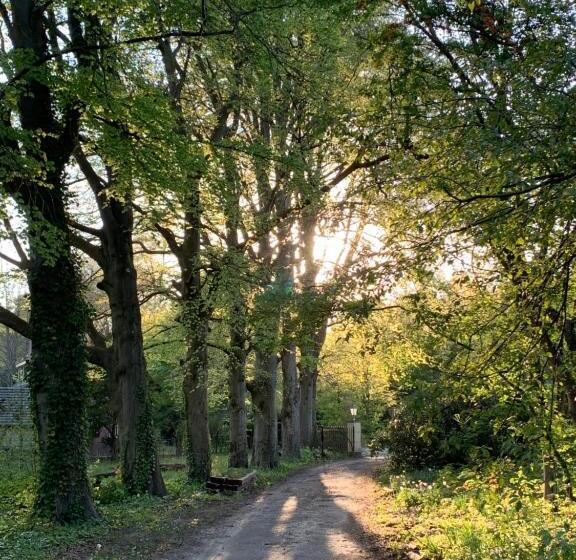 标准间带露台, Elswoutshoek Suites