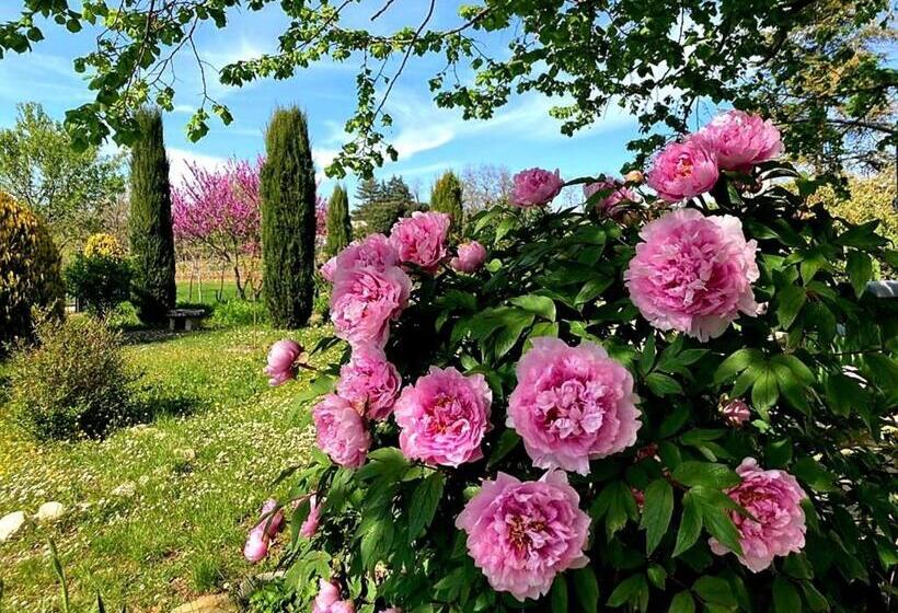 סוויטת סופריור, Casa Stella Country House