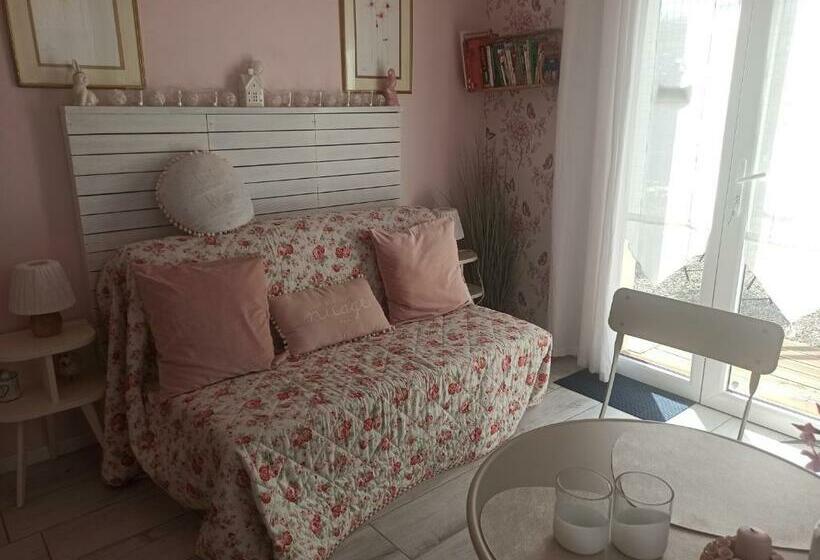 Family Suite, Loretxea