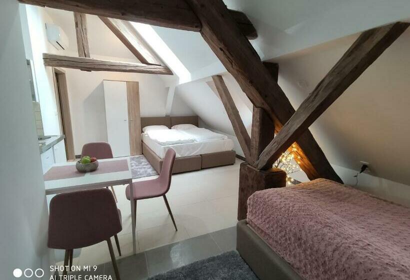 استودیوی استاندارد, Aparthotel Cross Street 4