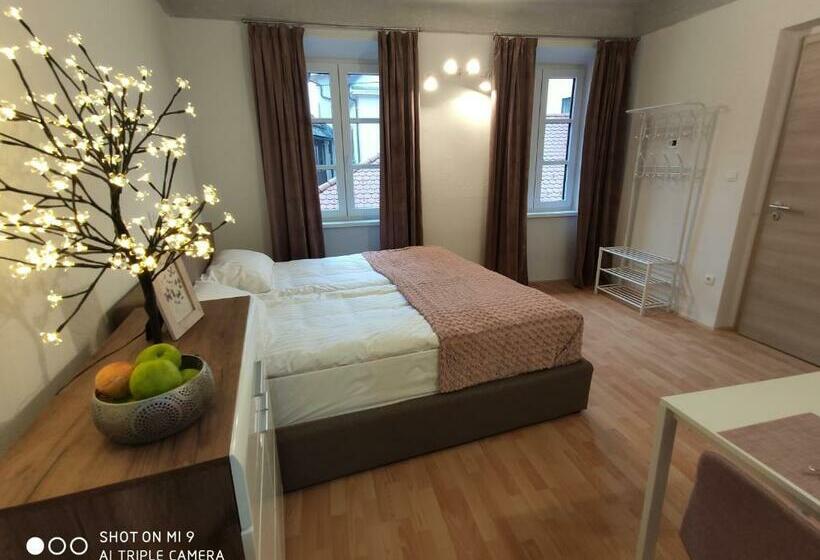 اتاق سوپریور با تخت بزرگ, Aparthotel Cross Street 4