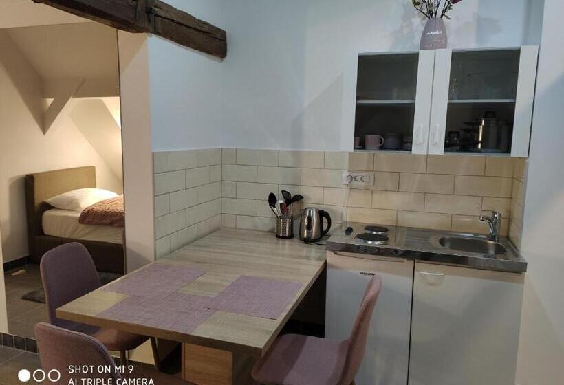 استودیوی استاندارد, Aparthotel Cross Street 4
