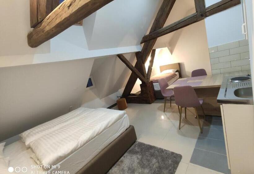 استودیوی استاندارد, Aparthotel Cross Street 4