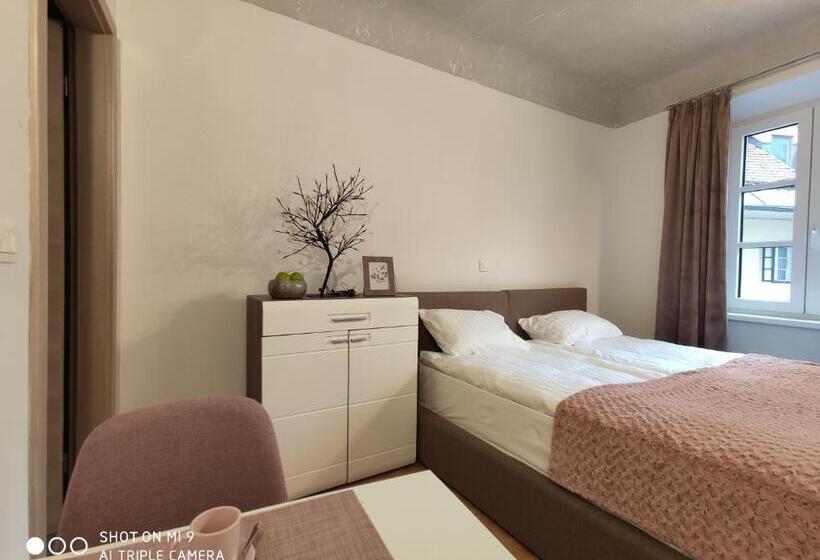 اتاق سوپریور با تخت بزرگ, Aparthotel Cross Street 4