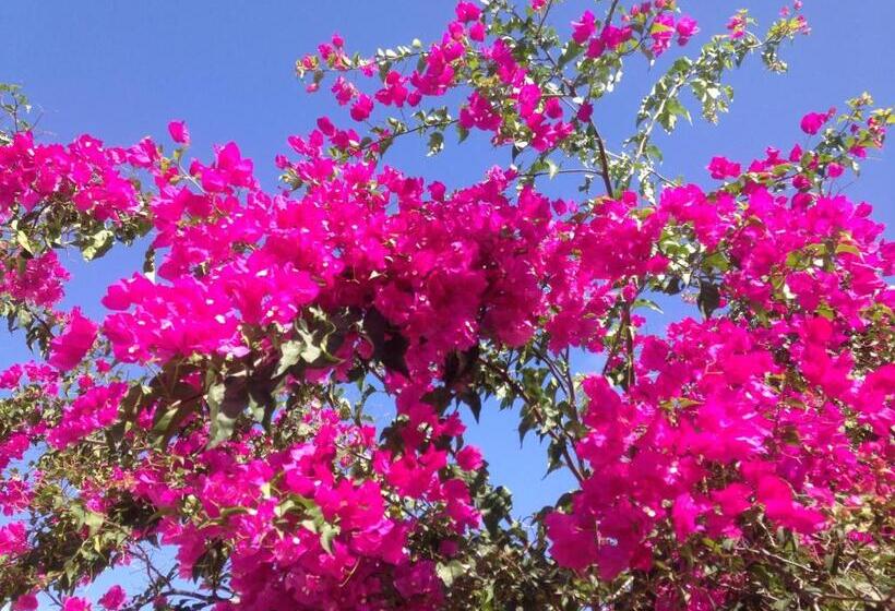 اتاق استاندارد, Chambre D Hôte Coeur Coco Piscine