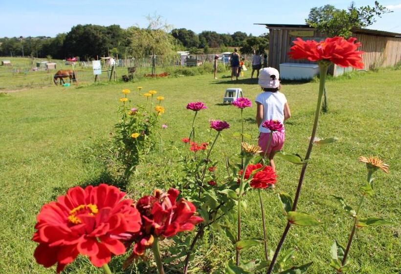 Апартаменты 1 Спальня с Террасой, La Petite Ferme De Pouillon Parc Animalier Aire De Loisirs