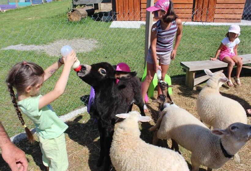 Апартаменты 1 Спальня с Террасой, La Petite Ferme De Pouillon Parc Animalier Aire De Loisirs