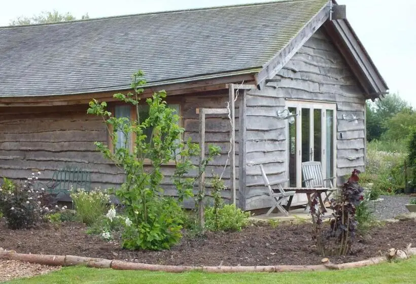 Standard-huone King-vuode, Three Oaks Nursery