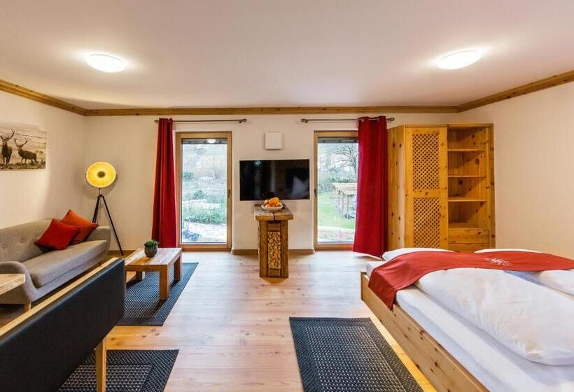 带1个卧室的豪华公寓, Gastehaus Sonnenwirth