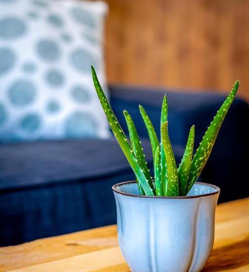 침실 1개 수피리어 아파트, Hôtel Appartements De La Gare