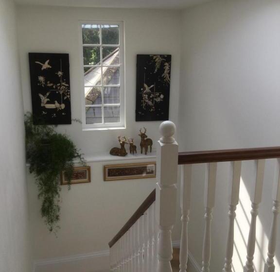 اتاق لوکس, Park House