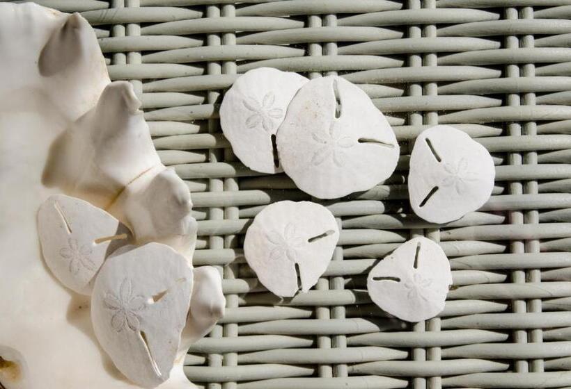 إستوديو ديلوكس, Walter’s Place