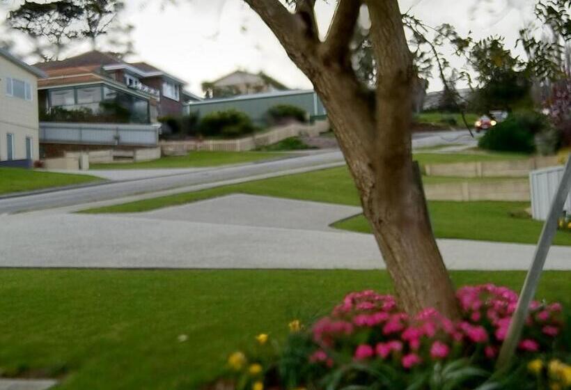 اتاق استاندارد, C Est La Vie