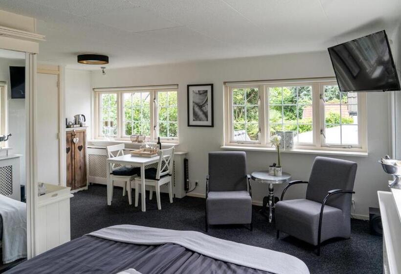 디럭스 룸 킹사이즈 침대, Centrum Mariastraat Apeldoorn