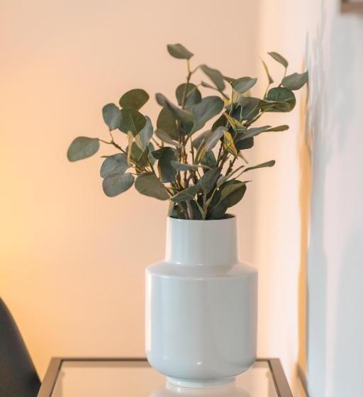 غرفة إقتصادية, Das Schlafgut Dessau