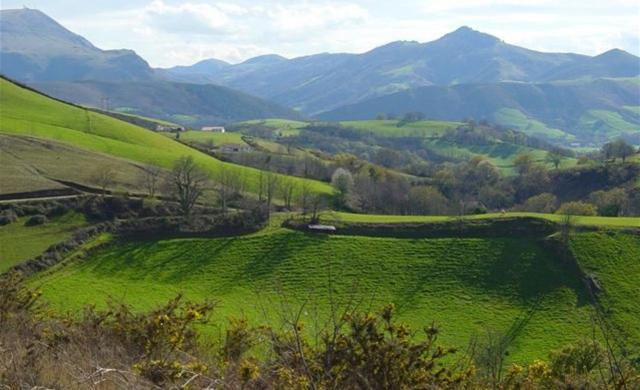 חדר סטנדרט לארבעה, Domaine Xixtaberri