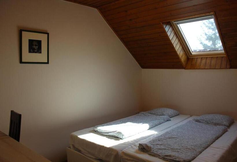 غرفة قياسية, Natúra Panzió&apartmanház