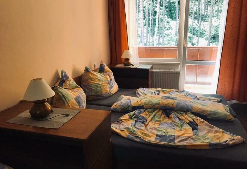 스탠다드 룸, Penzion Nový Mlýn