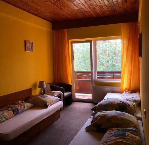 스탠다드 트리플 룸, Penzion Nový Mlýn