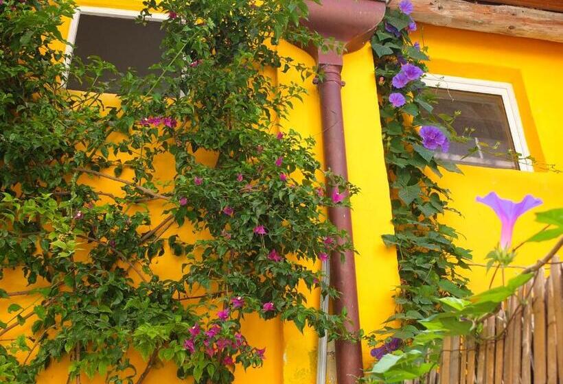 듀플렉스 스위트, La Maison Jaune