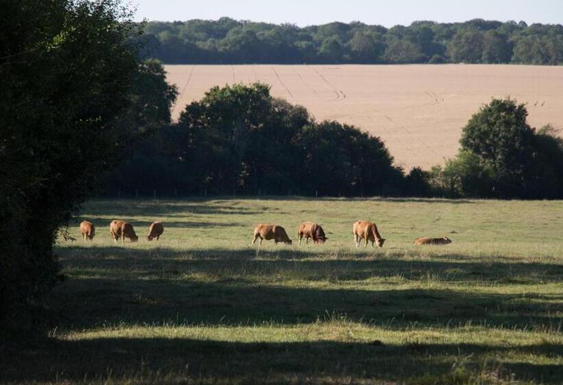 Номер Стандарт Вид на Сад, Le Pré De Luceau