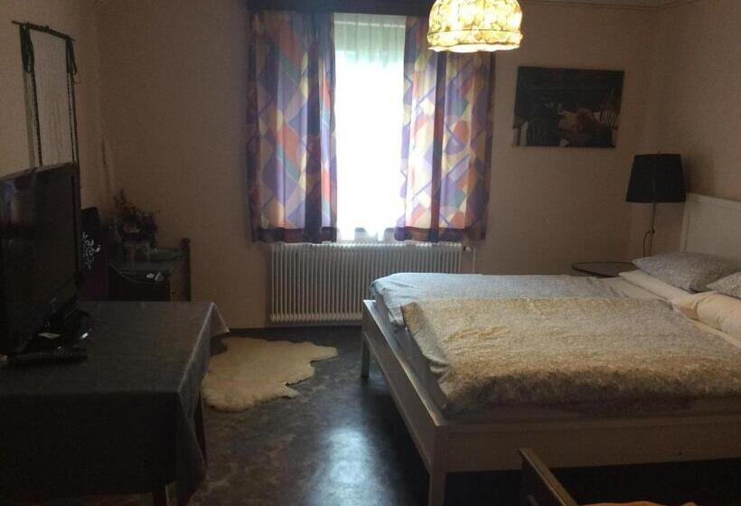 标准间带山景, Mooswirt