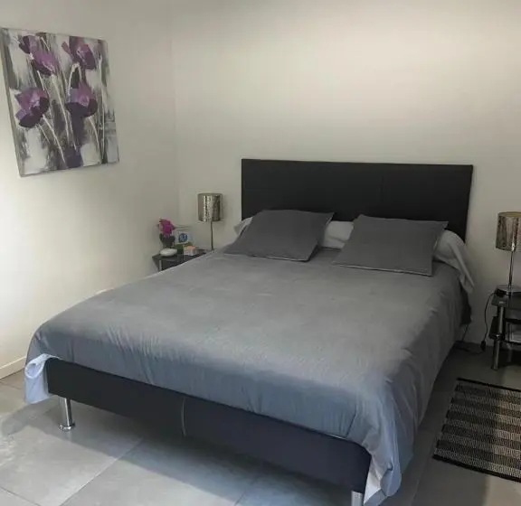 اتاق استاندارد اینتریور, Terreazur