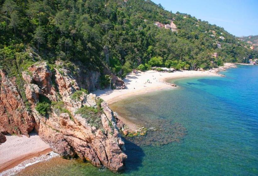 スタンダードインサイドビュールーム, Terreazur