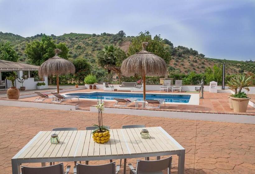 Стандартный Номер Кровать Кинг, Finca Las Hierbas B&b