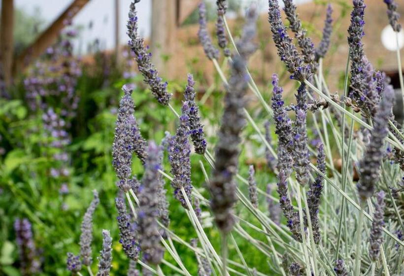 Номер Стандарт Вид на Бассейн, Finca Las Hierbas B&b