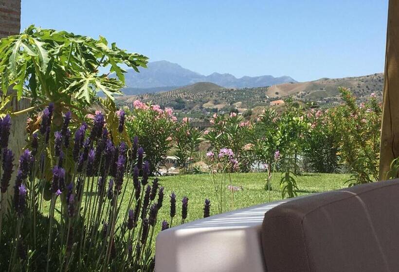 Студио Стандарт с Террасой, Finca Las Hierbas B&b