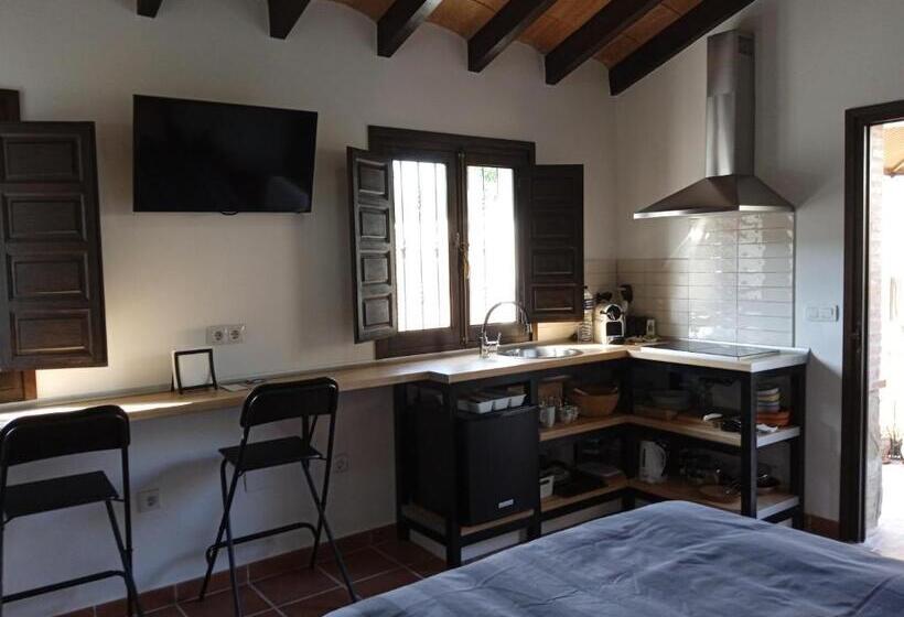 Студио Стандарт с Террасой, Finca Las Hierbas B&b