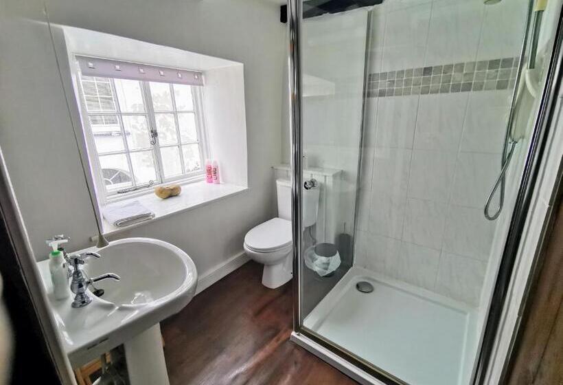 חדר משפתחתי סופריור, The Darlington