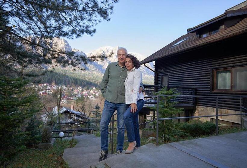 בקתת סופריור בת חדר 1, Chalet & Spa Maestrul Si Margareta