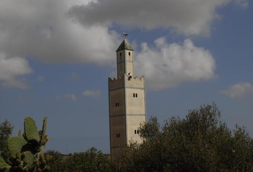 اتاق لوکس, Darmimouna