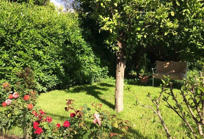 شقة غرفة واحدة مطلة على الحديقة, Baia Della Serenità