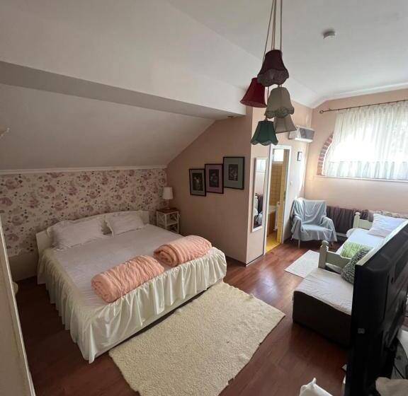 חדר סטנדרט לשלושה, Vila Restaurant Sofia