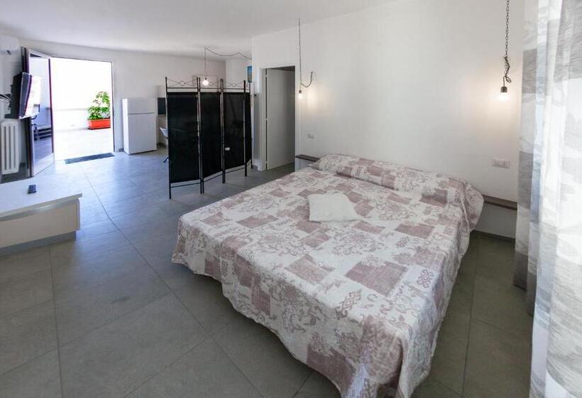 חדר סטודיו סטנדרד, Aestatisdomus