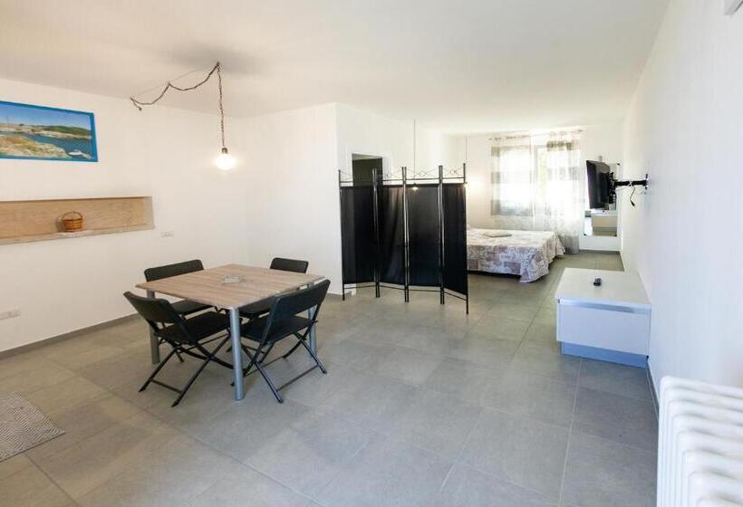 חדר סטודיו סטנדרד, Aestatisdomus