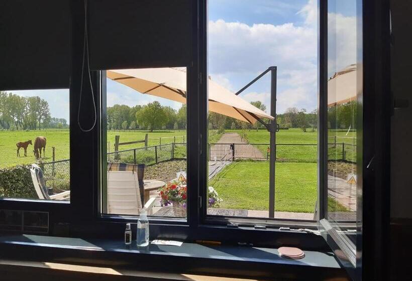 اتاق استاندارد سه نفره, De Weije Wereld