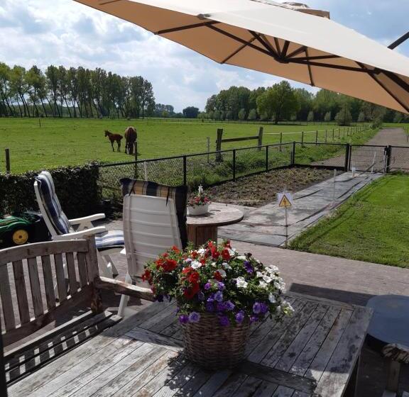 اتاق استاندارد سه نفره, De Weije Wereld