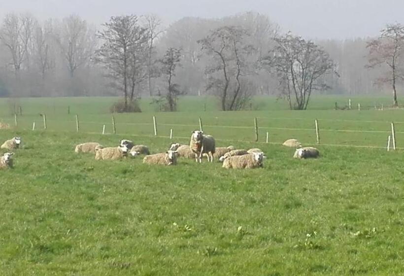 اتاق استاندارد سه نفره, De Weije Wereld