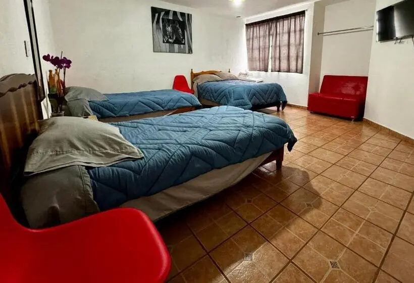 浴室共有スタンダード4人用ルーム, Pura Vida! Ciudad Hidalgo