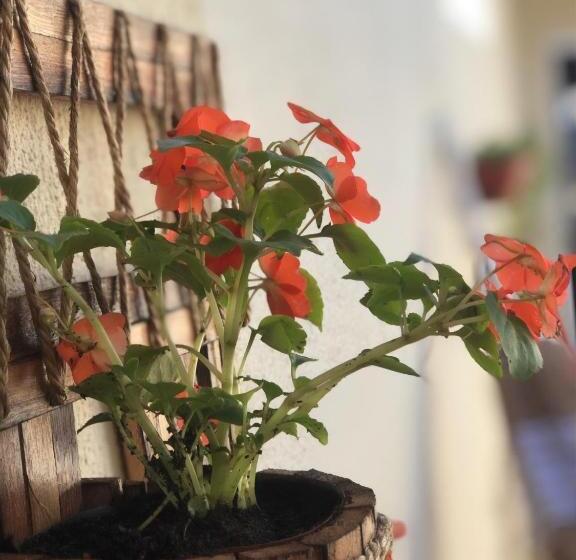 חדר סטנדרט, Star House